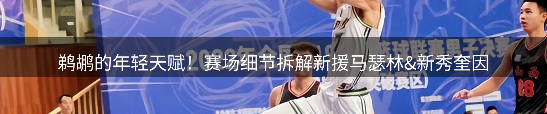 公司导读